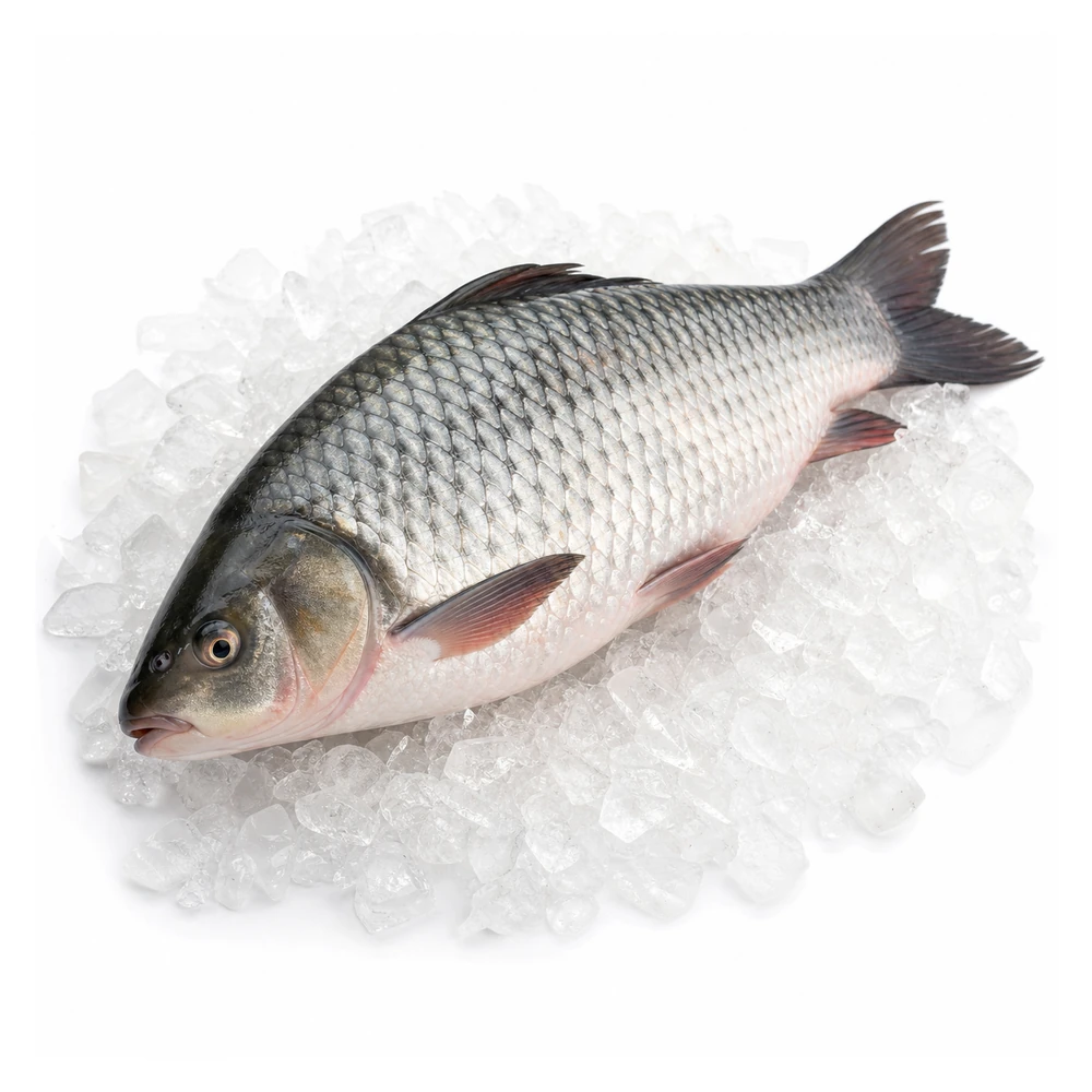 দেশি রুই মাছ (Fresh Rui Fish) – নদীর আসল স্বাদ